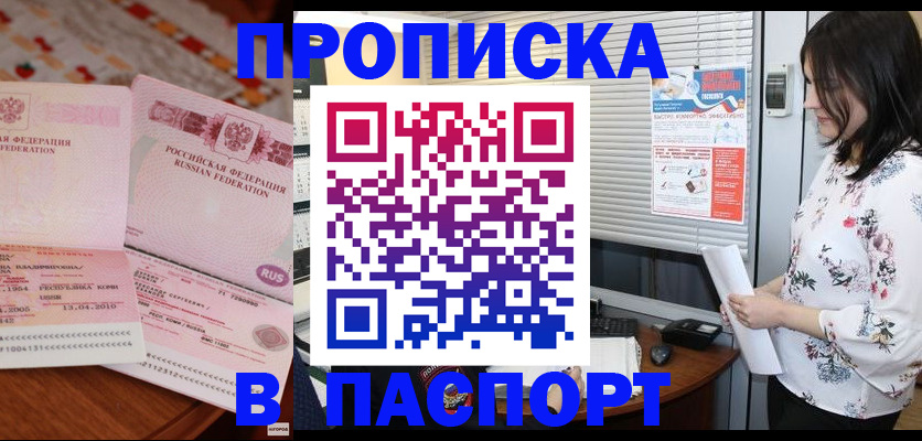 прописка гарантия в Шали